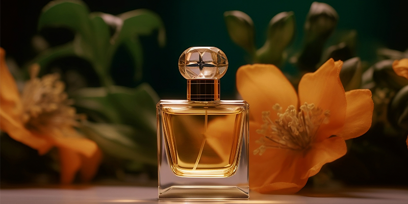 New Season Steals: Sought-after Scents For You