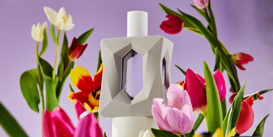 The Conscious Choice: Inside Perfume Direct's Journey Toward Sustainable Fragrance Retail