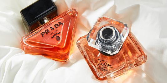 The Beginner’s Guide to Building a Perfume Wardrobe