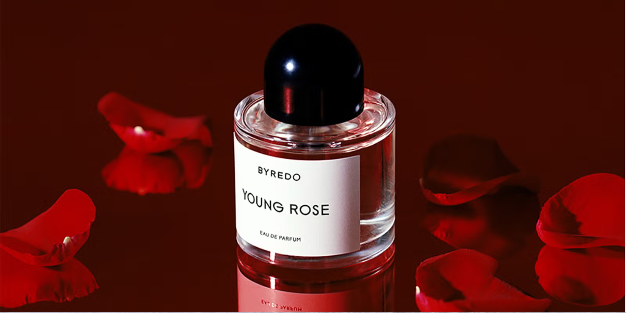 Fragrance And Romance: The Science Behind Scent Attraction