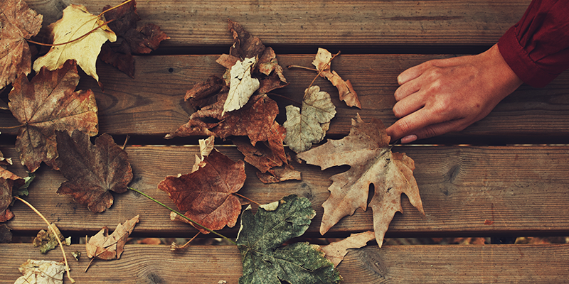 5 Perfect Autumnal Fragrances for 2018