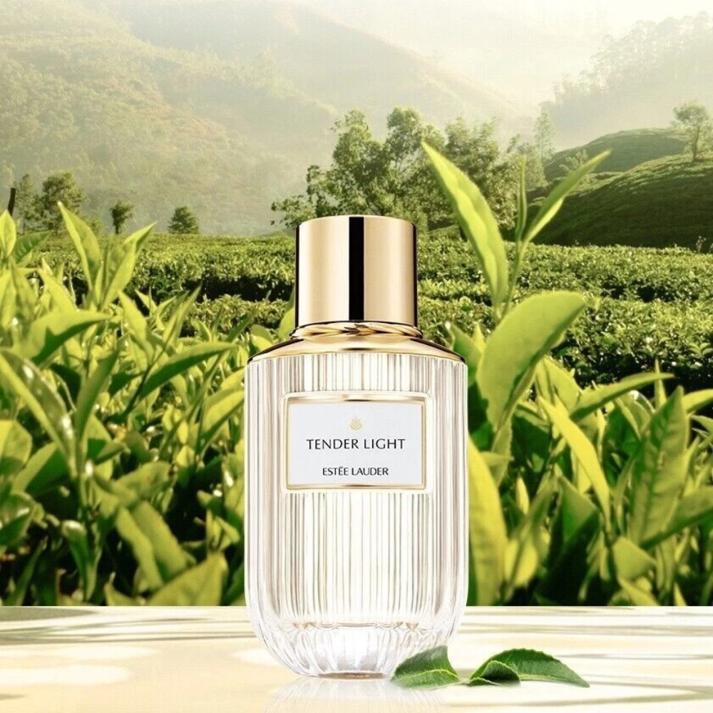 Estee Lauder Tender Light EDP Women's Perfume 100ml |