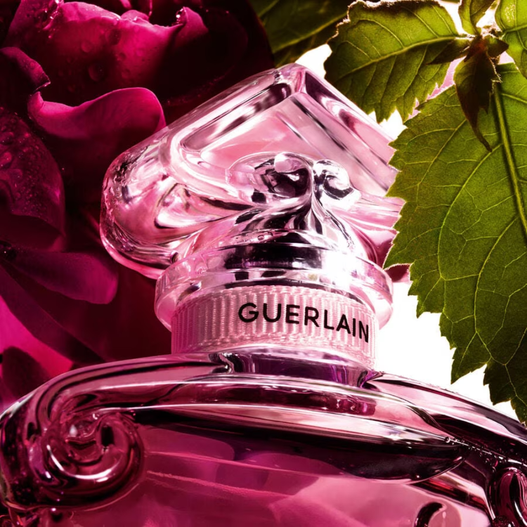 Guerlain Women's Perfume Guerlain La Petite Robe Noire Absolue Eau de Parfum Women's Perfume Spray (50ml, 100ml)