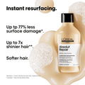 L'Oreal Hair Care L'Oreal Professionnel Serie Expert Absolut Repair Gold 2pc Set