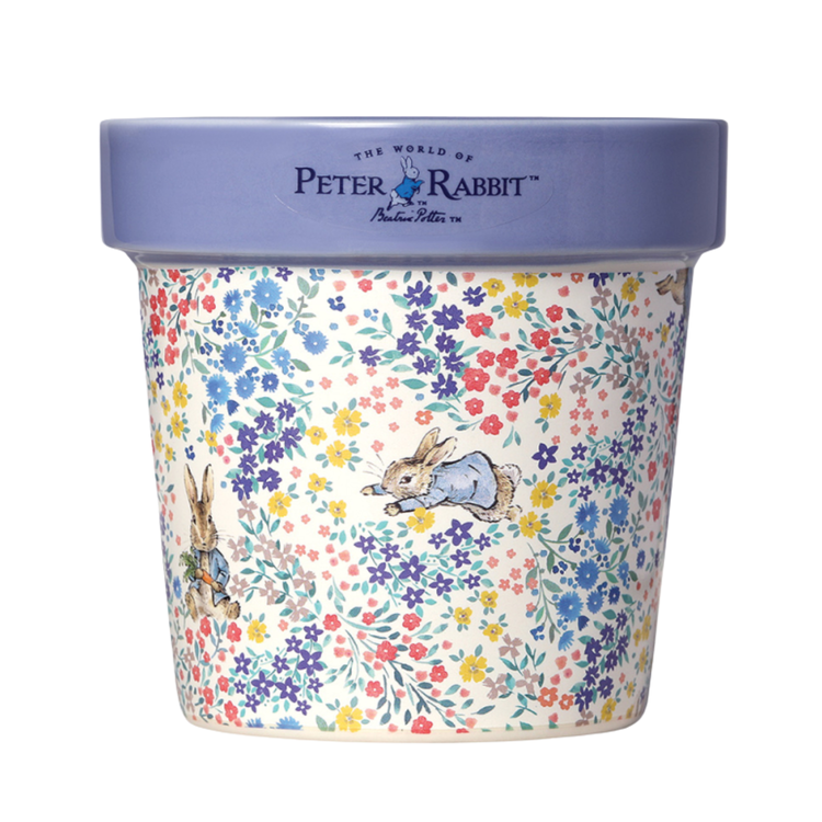 Peter Rabbit Candle Peter Rabbit Forget Me Not Plant Pot Candle