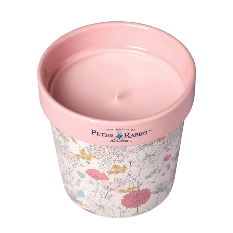 Peter Rabbit Candle Peter Rabbit Rose Eucalyptus Plant Pot Candle