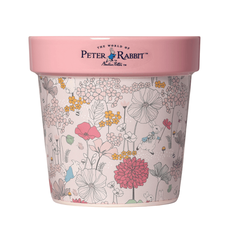 Peter Rabbit Candle Peter Rabbit Rose Eucalyptus Plant Pot Candle