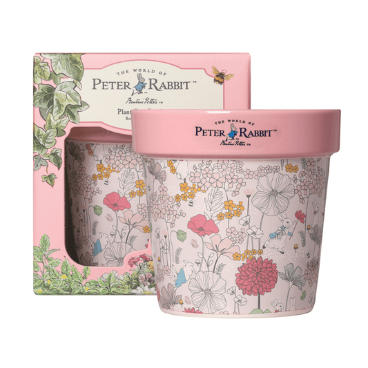 Peter Rabbit Candle Peter Rabbit Rose Eucalyptus Plant Pot Candle