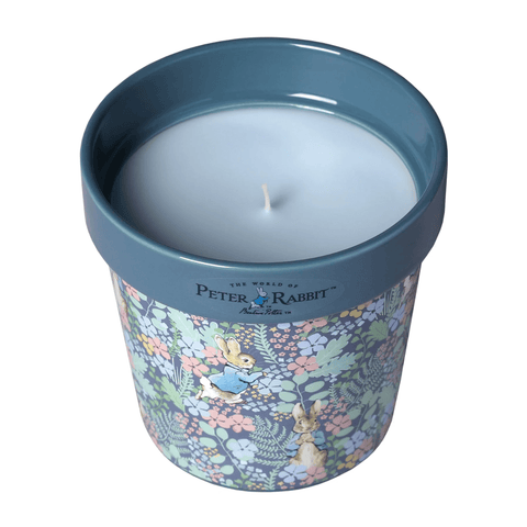 Peter Rabbit Candle Peter Rabbit Wildflower Plant Pot Candle