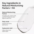 The Ordinary Skin Care The Ordinary Natural Moisturising Factors + HA (100ml)