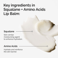 The Ordinary Skin Care The Ordinary Squalane + Amino Acids Lip Balm (15ml)