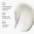 The Ordinary Skin Care The Ordinary Squalane + Amino Acids Lip Balm (15ml)