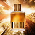Tom Ford Unisex Perfume Tom Ford Bois Pacifique Eau de Parfum Unisex Fragrance Spray (100ml)
