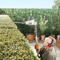 VonHaus Garden Electrical VonHaus 2 in 1 Pole Trimmer + Chainsaw - 2500263
