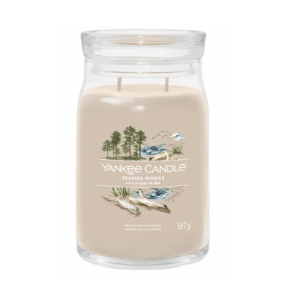 Yankee Candle Set Mit 2 X Silberbirke Duftwachs - Je 6 Schmelzen, Insgesamt 12 Stück - Für Alle Wachswärmer