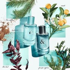 Tiffany & Co Women's Perfume Tiffany & Co Tiffany & Love For Her Eau de Parfum Spray (50ml)